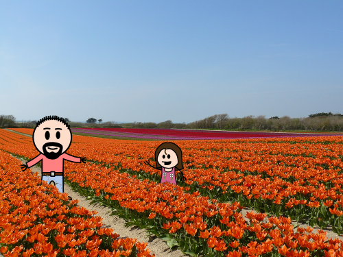 LiB et sa fille aux champs de tulipes